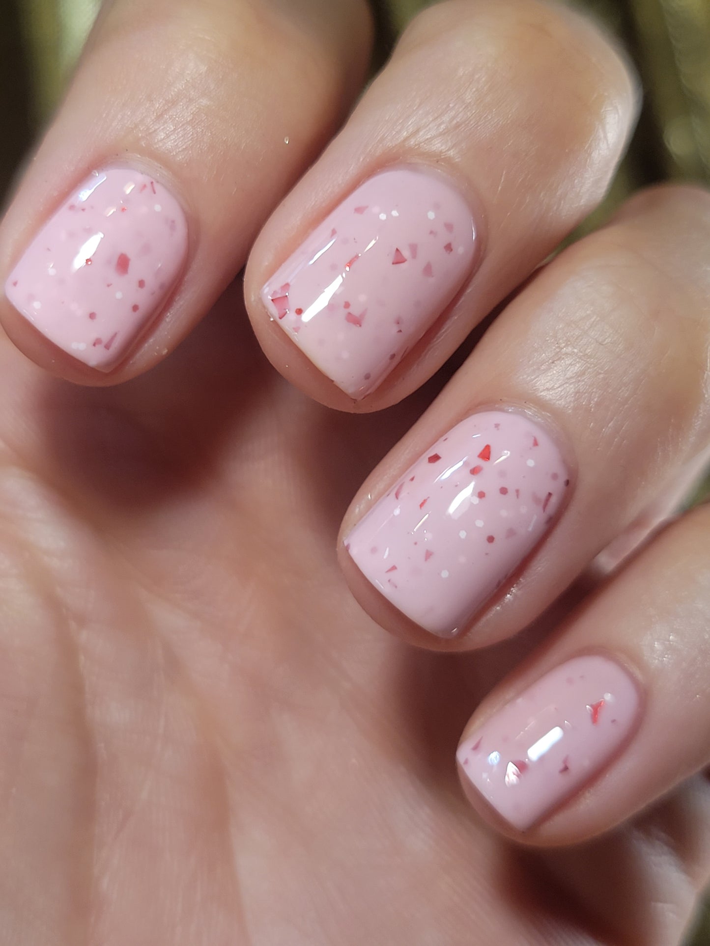 Candy Cane Cutie