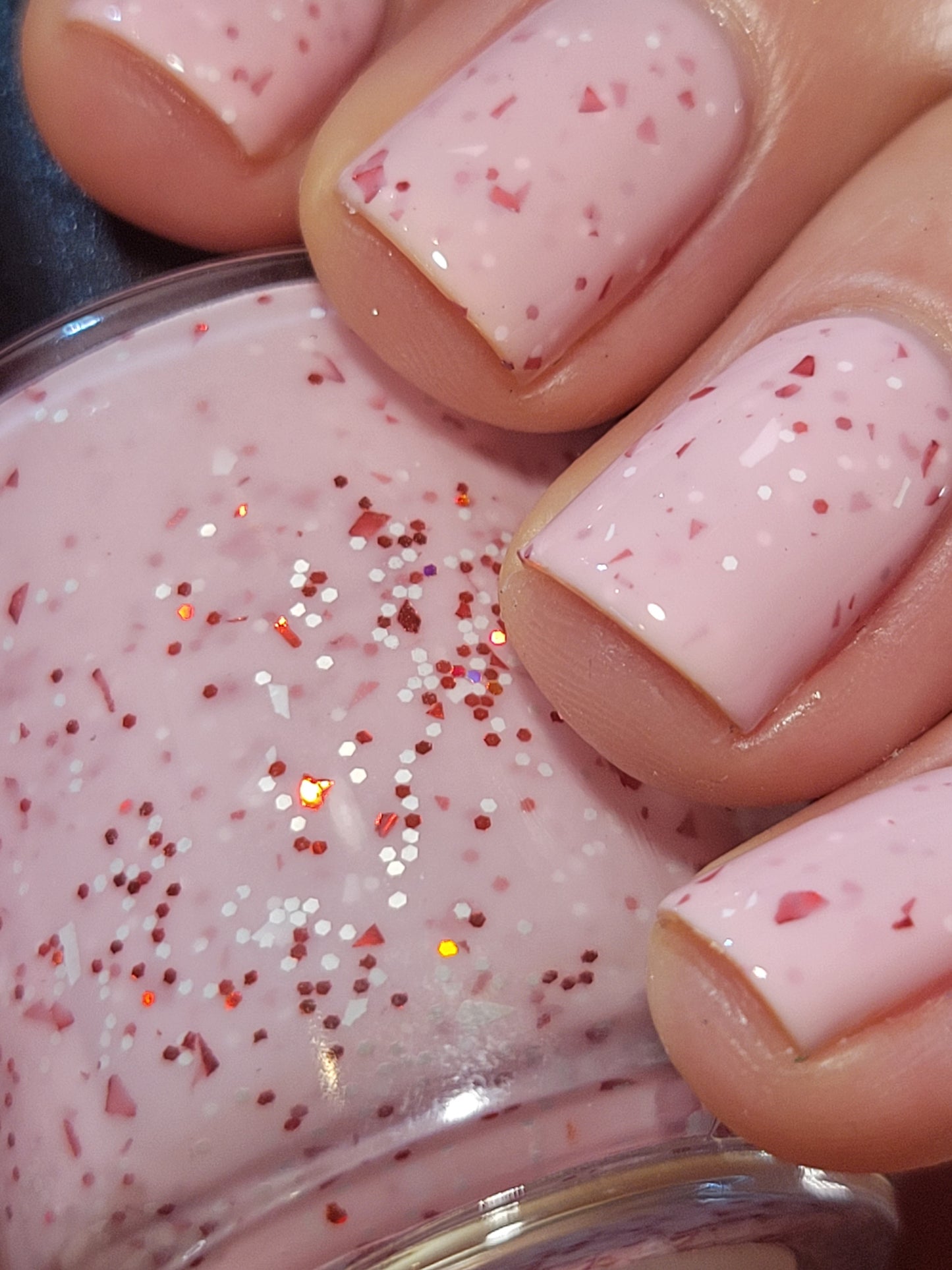 Candy Cane Cutie