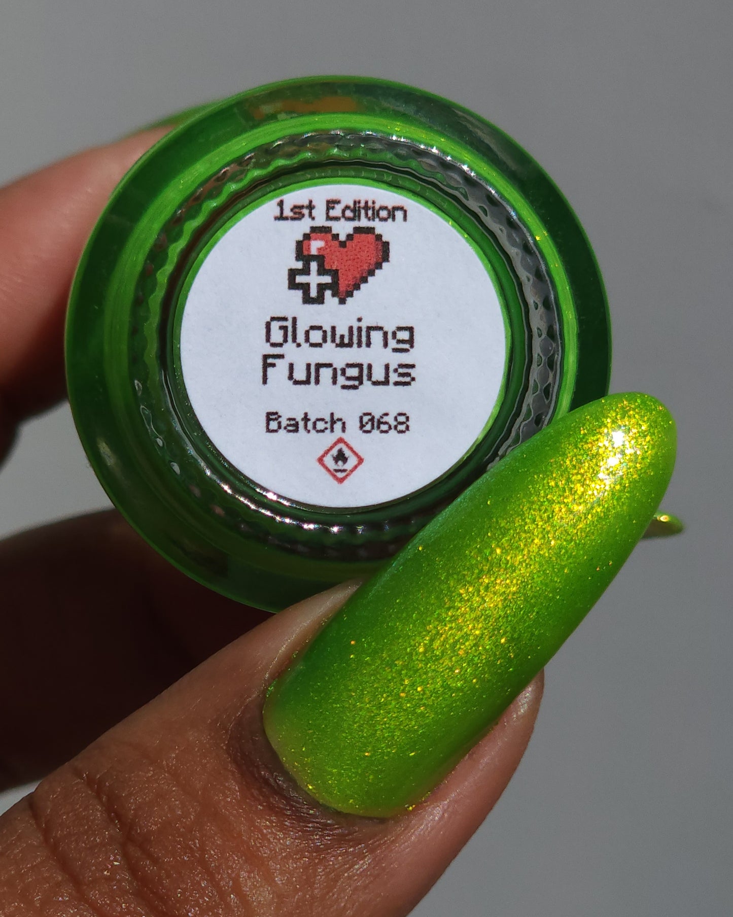 Glowing Fungus