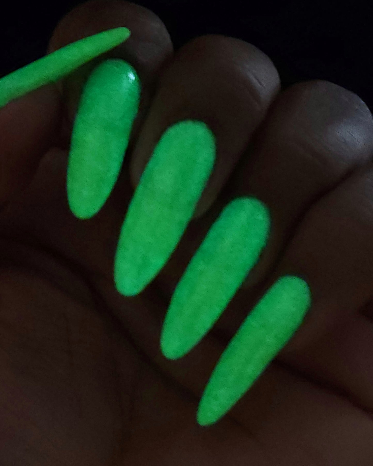 Glowing Fungus