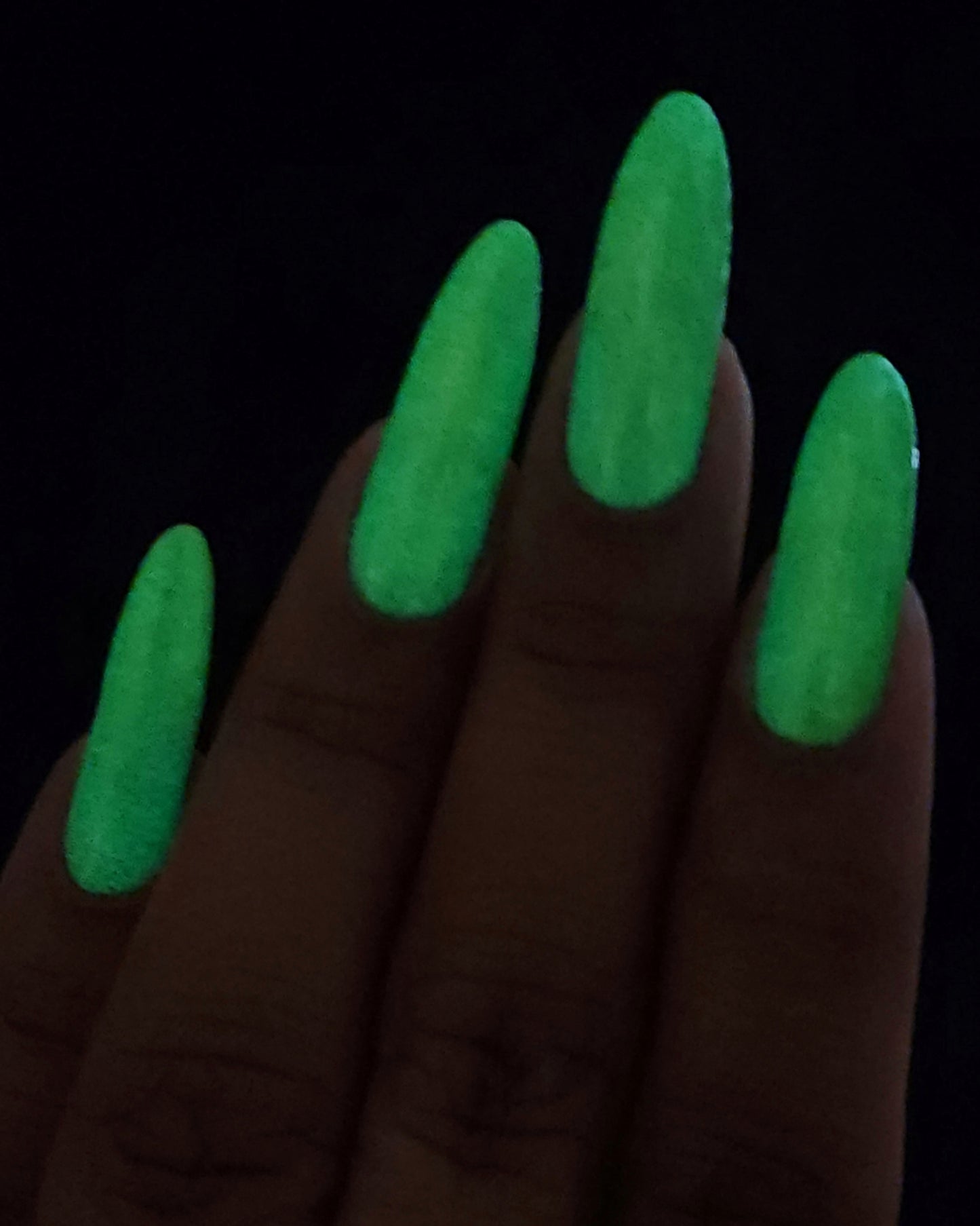 Glowing Fungus