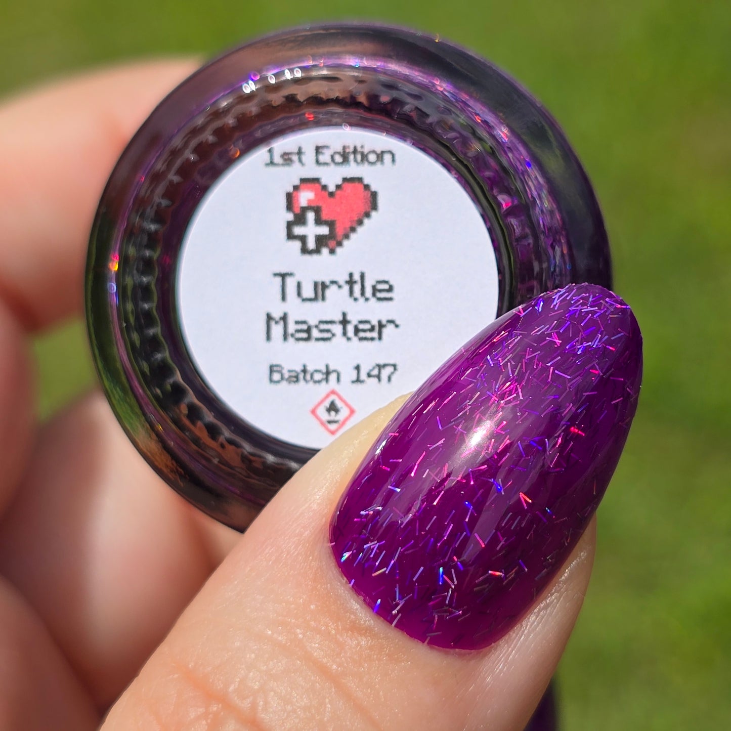 Turtle Master