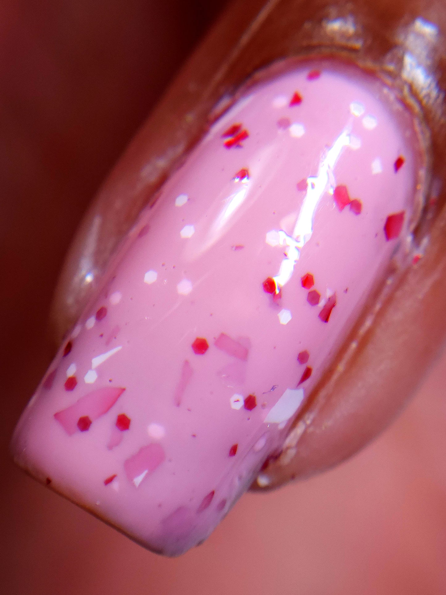 Candy Cane Cutie