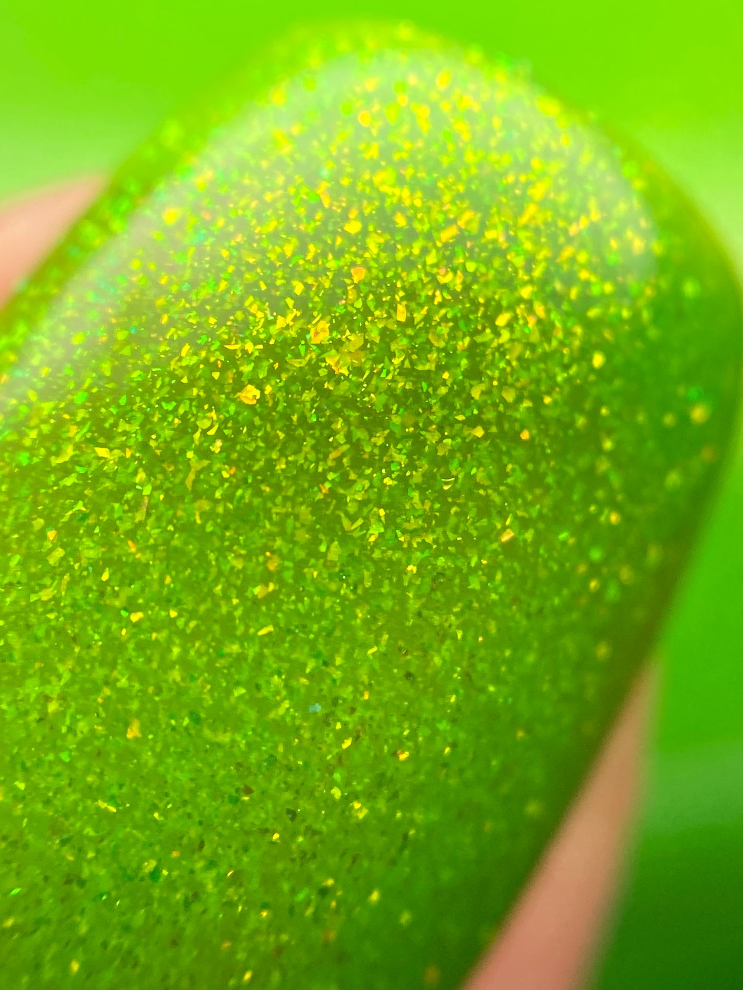 Glowing Fungus