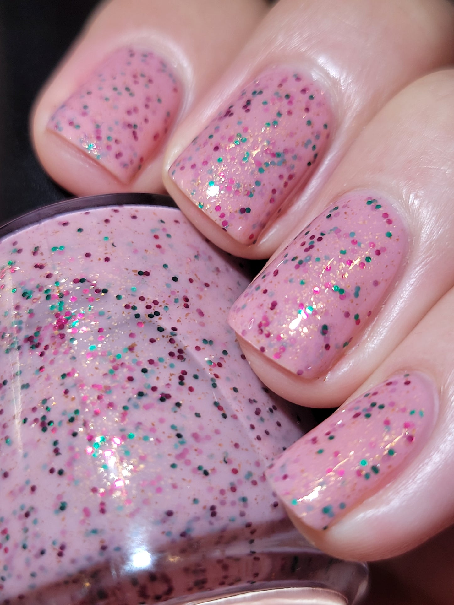 Sector 5 Cetra - November 2025 CoM