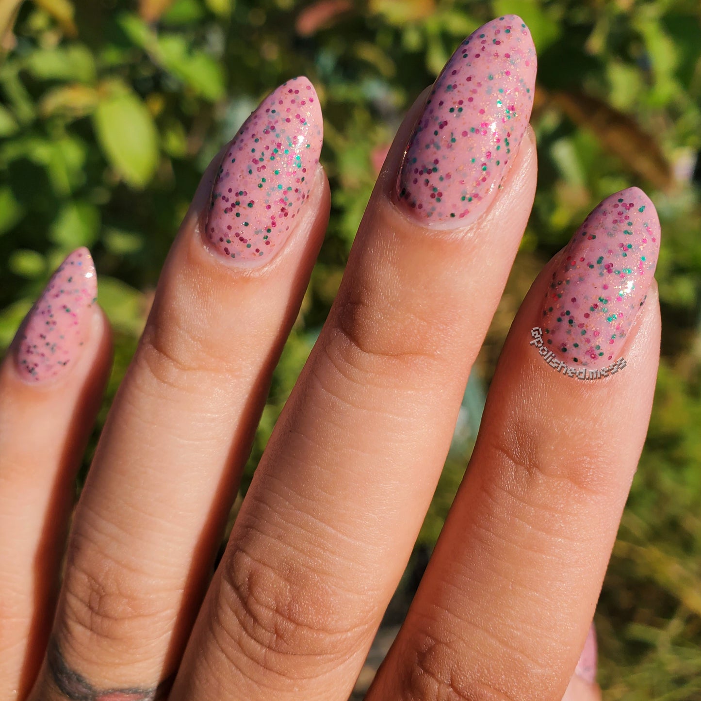 Sector 5 Cetra - November 2025 CoM