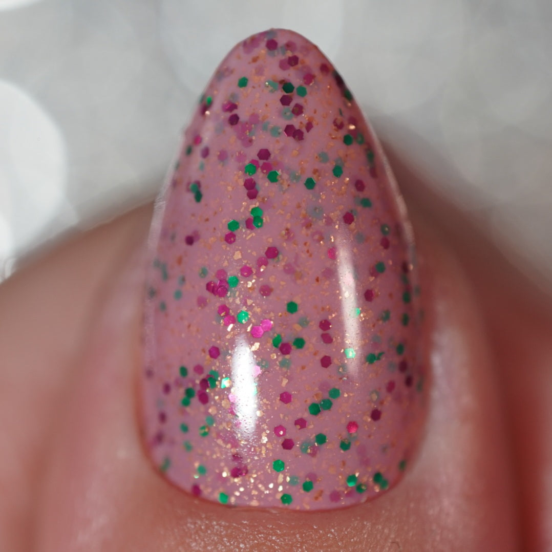 Sector 5 Cetra - November 2025 CoM